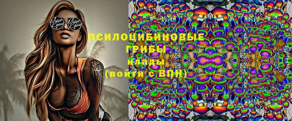 метадон Алексин