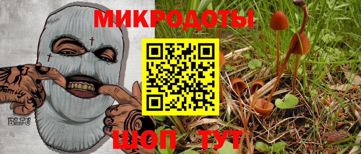 Псилоцибиновые грибы Magic Shrooms  Псилоцибиновые грибы Psilocybine cubensis  Сафоново 