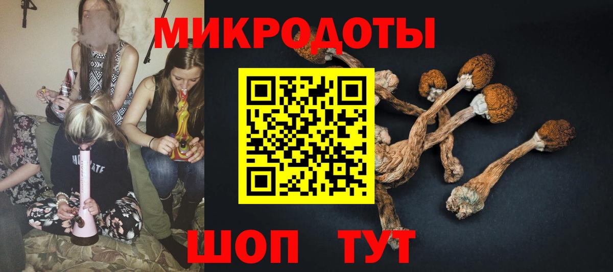 Псилоцибиновые грибы Magic Shrooms Сафоново