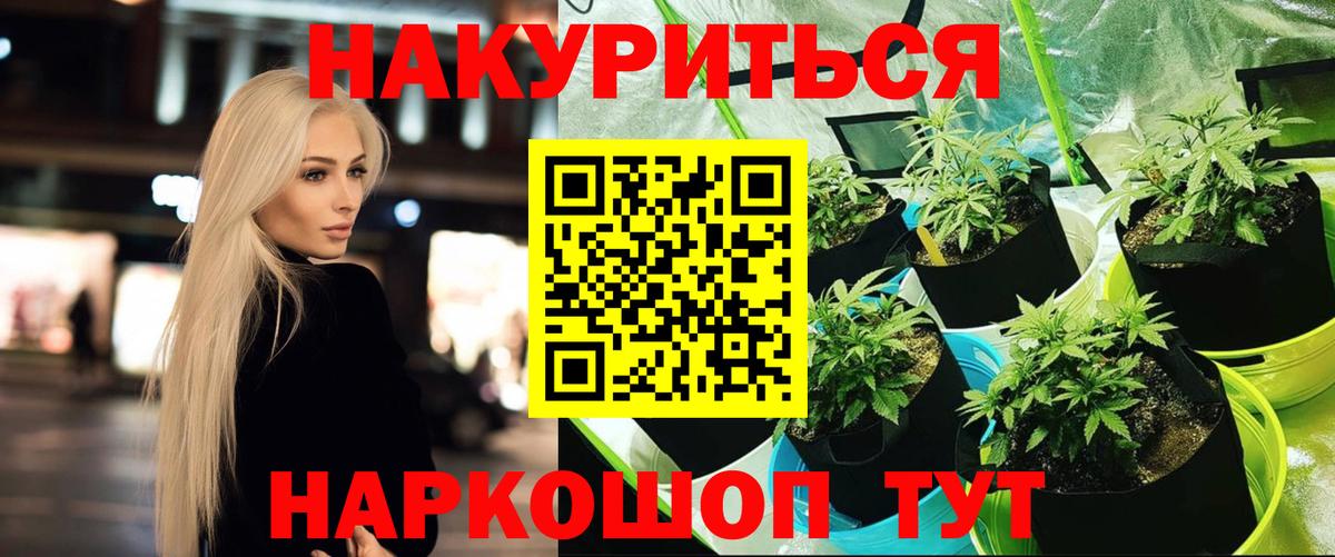 Конопля гибрид Сафоново